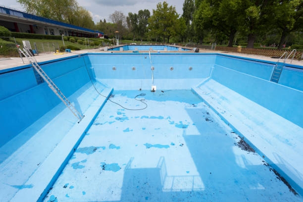 Best Flood damage cleanup  in Clifton Heights, PA