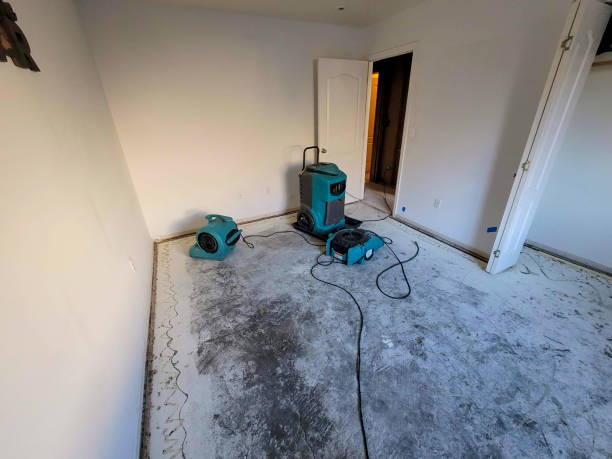 Best Emergency water damage restoration  in Clifton Heights, PA
