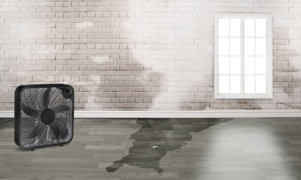 Best 24/7 water damage repair  in Clifton Heights, PA