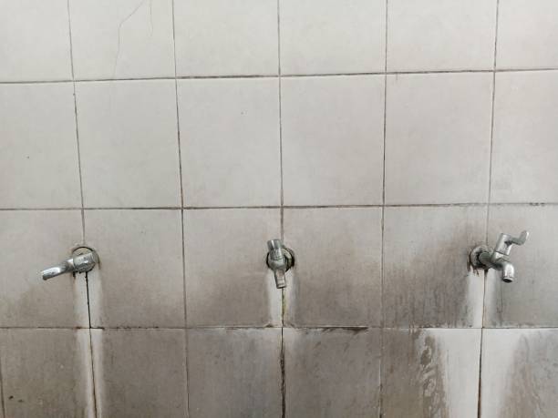 Best Commercial water damage restoration  in Clifton Heights, PA