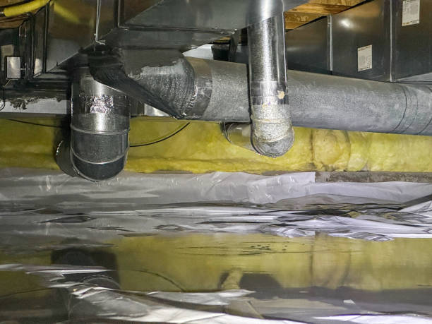 Best Professional water damage repair  in Clifton Heights, PA