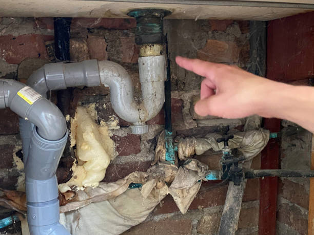Reliable Clifton Heights, PA Water damage restoration Solutions