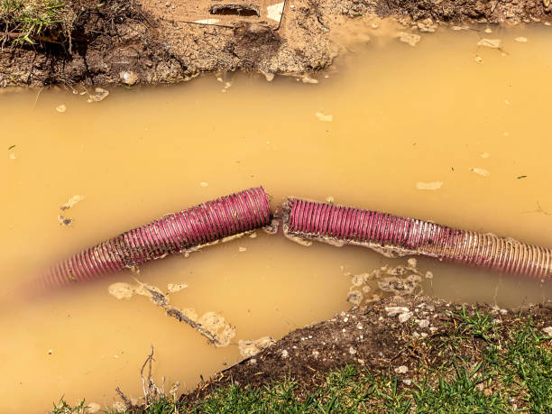 Local water damage restoration in Clifton Heights, PA