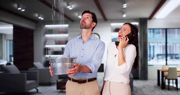 Best Water damage cleanup near me  in Clifton Heights, PA