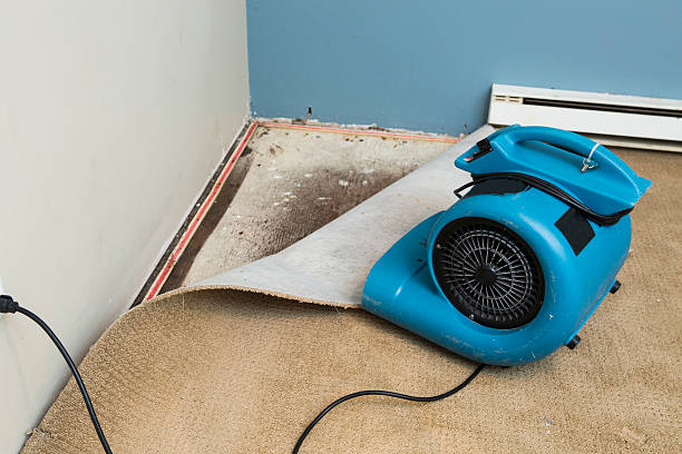 Best Professional water damage repair  in Clifton Heights, PA
